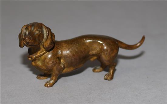 A bronze cold painted dog